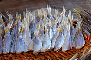 Dry food, Sun-dried fish, fresh food in Thailand`s market.