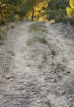 Dry footpath in Spain