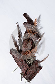 Dry forest materials - brown bark pine, leaf fern, moss, stems grass as elegant and rough organic background with shadow on white.