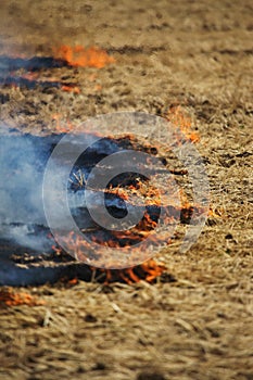 Dry forest and steppe fires completely destroy fields and steppes during severe drought. Disaster causes regular damage to the