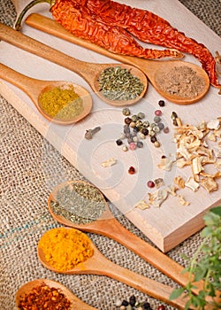 Dry and fresh spices - seasoning