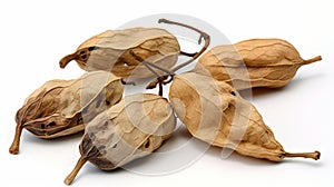 Dry fruit pods and leaf of unusual tree generated by AI tool.