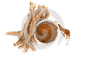 Dry Ganoderma Lucidum Mushroom and reishi powder in bowl