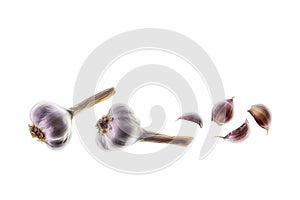 Dry garlic bulbs and cloves isolated on white background with copy space above