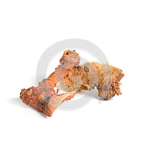 Dry ginger root isolated on white background