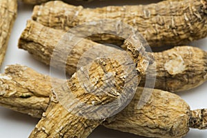 Dry ginseng roots