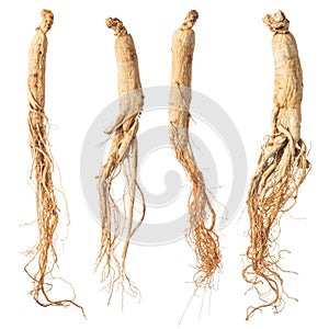dry ginseng roots