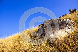 Dry glass and rock at Krating cape in summer Phuket