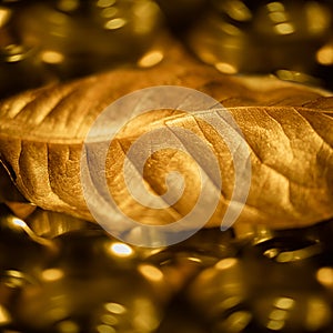 Dry Golden Leaf Texture Background. Close-up