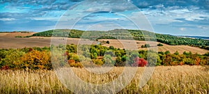 Through the dry grass, beautiful hills with trees ,the road among arable autumn fields