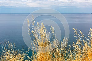 Dry grass on blue sea and cloudy sky background. View from the hill