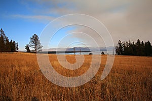 Dry Grass Cloudy Sky Yellowstone National Park