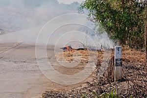 Dry grass fire on the side of the road