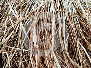 Dry grass, hay, straw laid in rows. Thatched wall background and texture. Tropical roofing on beach. Abstract pattern