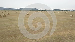 Dry grass hay, twisted in dense stacks at the time of preparing cattle feed, close-up on an agricultural field against a blue sky.