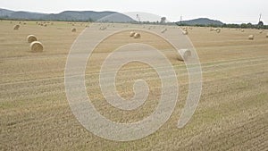 Dry grass hay, twisted in dense stacks at the time of preparing cattle feed, close-up on an agricultural field against a blue sky.