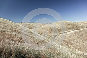 Dry grass hillside with undulations