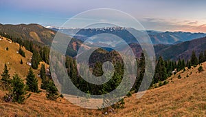 Dry grass, melting snow, illuminated hilltops. Autumn in Great Fatra Mountains (Velka Fatra ), Rakytov