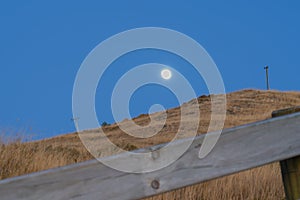 Dry grass on slope of Mount Maunganui and moon