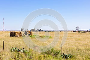 Dry grassland with old ancient building ruins in South Africa under a clear sky