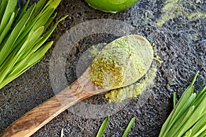 Dry green barley grass powder with fresh barley grass blades and juice