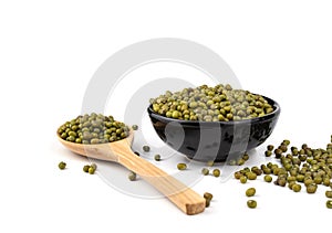 Dry green  beans