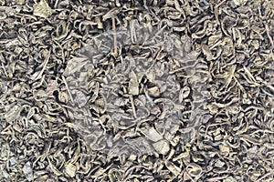 Dry Green Tea Leaves Background
