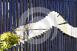 Dry grey bamboo fence