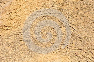 Dry groun interesting texture and background. land after drought. desert