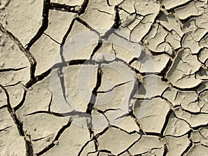 Dry ground