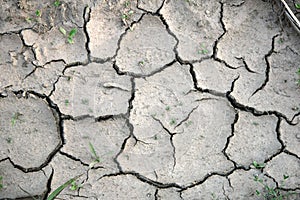 Dry ground