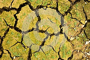 Dry ground