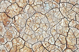 Dry ground