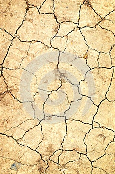 Dry ground