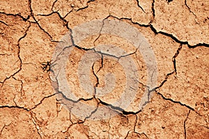 Dry ground as background. Climate change and global warming concept. Top view of cracked soil during drought season in arid