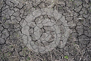 Dry dirt soil