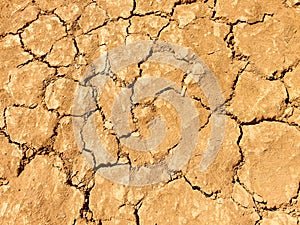 Dry ground and cracked soil texture background
