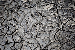 Dry Ground With Cracks