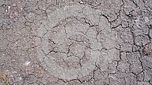 Dry ground cracks. Cracks in the soil. Desertification