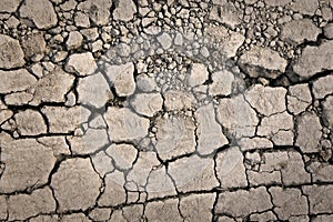 Dry ground