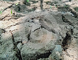 Dry Ground Cracks In The Earth Have Mosaic Texture Background.