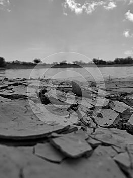 dry ground cracks near a pond