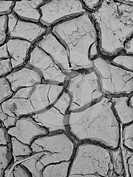 dry ground cracks in summer