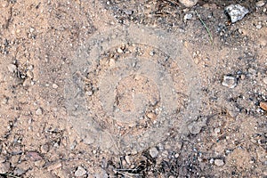 A dry ground, soil and sand with stones texture, background. Nature