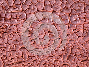 Dry ground texture