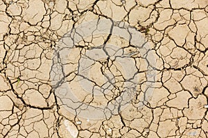 Dry ground