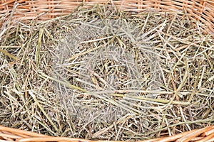 Dry hay in the basket