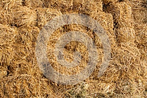 Dry hay for feed of farm animals stored in the barn on the farm.