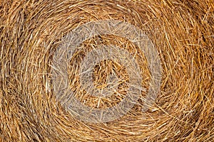 Dry hay stack natural background