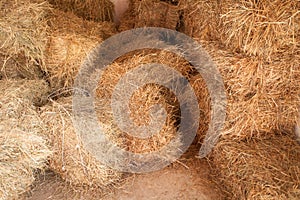 Dry hay stacks, inside the barn